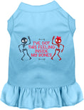 Load image into Gallery viewer, Inside My Bones Pet Dress

