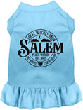 Load image into Gallery viewer, Salem Witches Union Pet Dress
