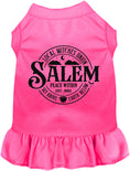 Load image into Gallery viewer, Salem Witches Union Pet Dress
