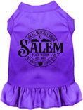 Load image into Gallery viewer, Salem Witches Union Pet Dress
