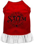 Load image into Gallery viewer, Salem Witches Union Pet Dress
