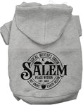 Load image into Gallery viewer, Salem Witches Union Halloween Pet Hoodie
