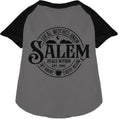 Load image into Gallery viewer, Salem Witches Union Pet Raglan Shirt
