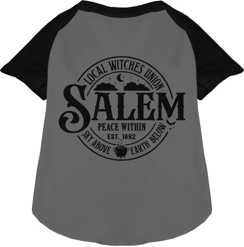 Salem Witches Union Pet Raglan Shirt