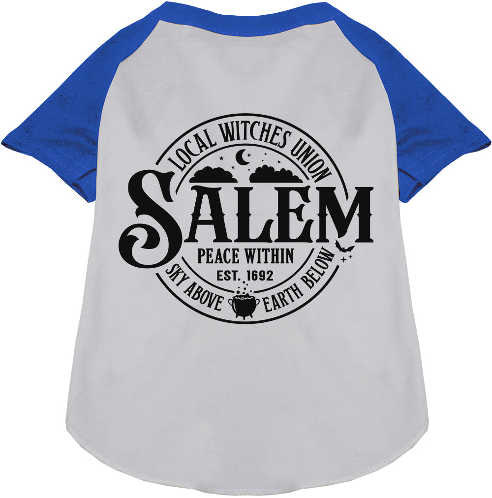 Salem Witches Union Pet Raglan Shirt