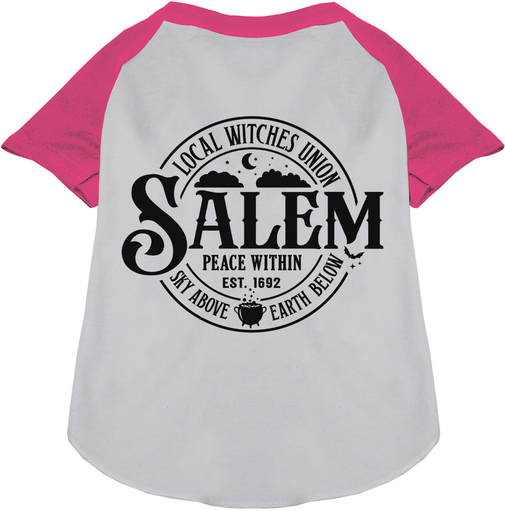 Salem Witches Union Pet Raglan Shirt