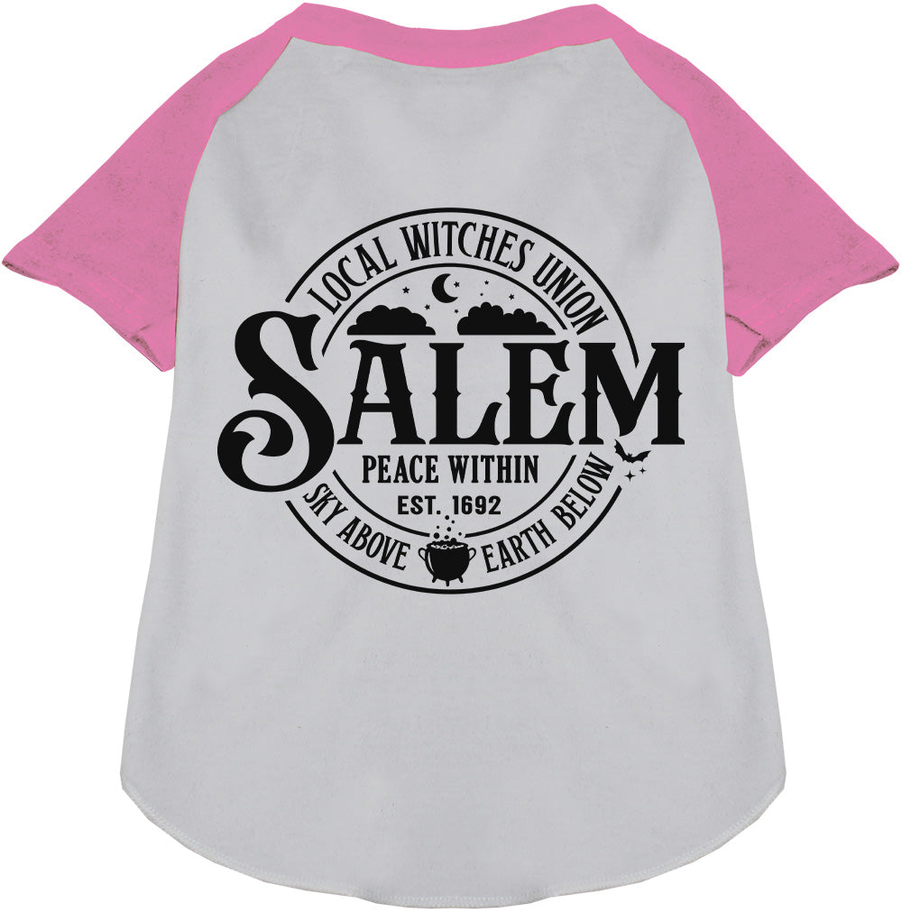 Salem Witches Union Pet Raglan Shirt