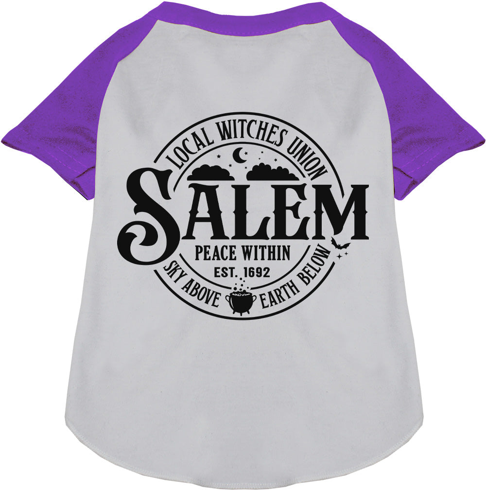 Salem Witches Union Pet Raglan Shirt
