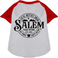 Load image into Gallery viewer, Salem Witches Union Pet Raglan Shirt
