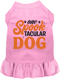 Load image into Gallery viewer, One Spooktacular Dog Pet Dress
