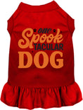 Load image into Gallery viewer, One Spooktacular Dog Pet Dress
