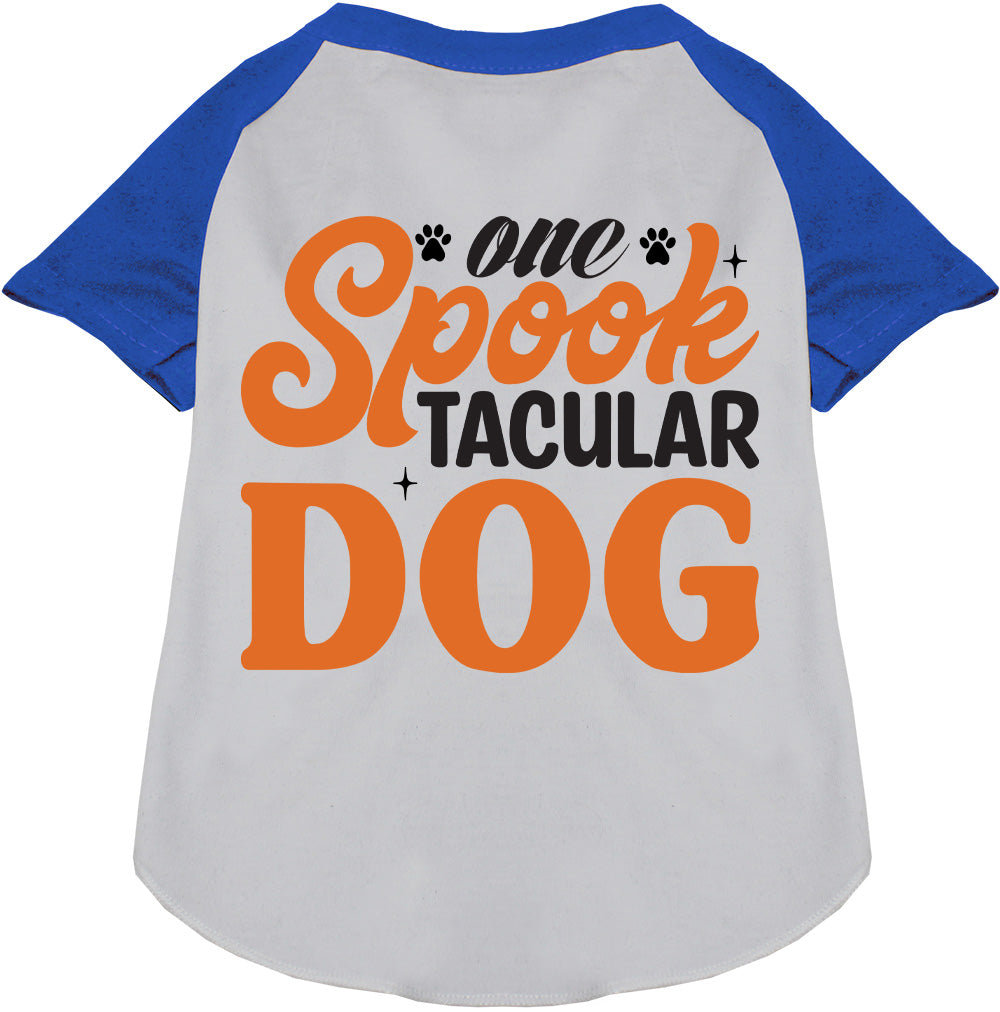 One Spooktacular Dog Pet Raglan Shirt