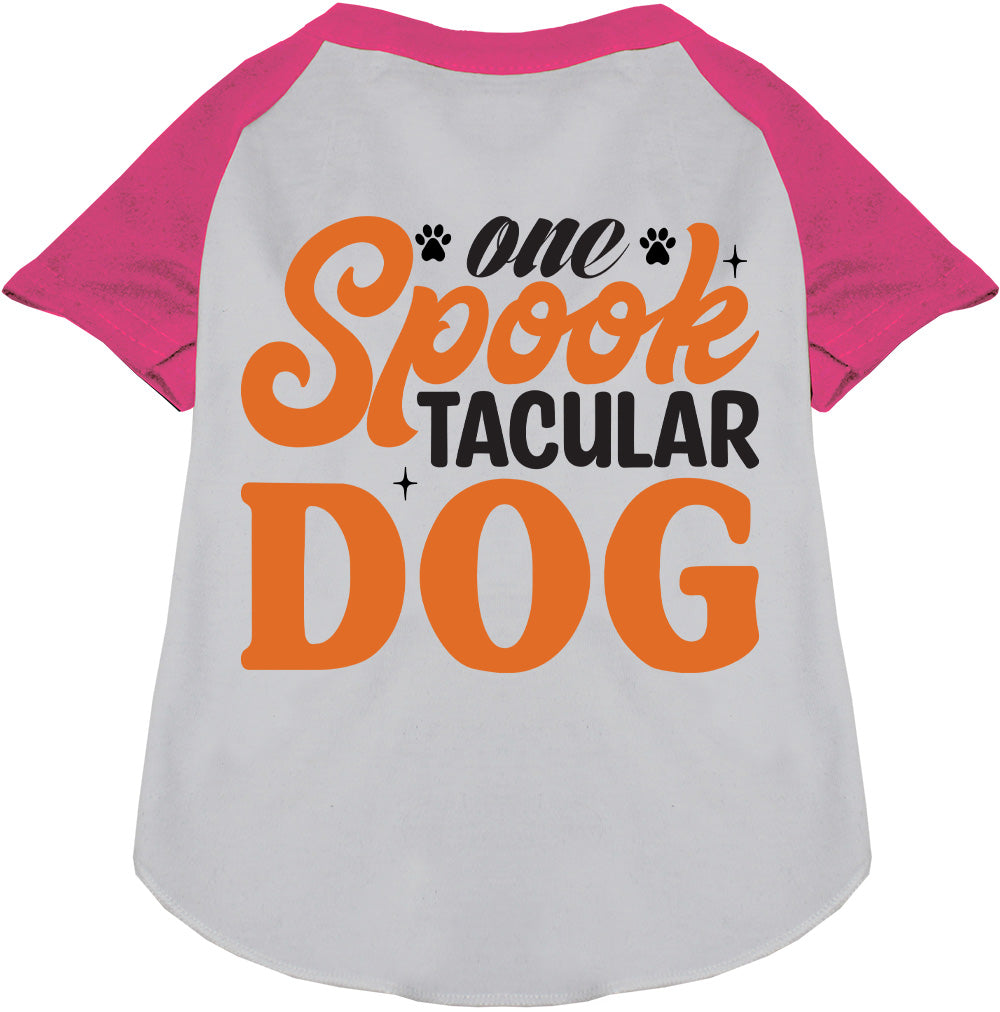 One Spooktacular Dog Pet Raglan Shirt