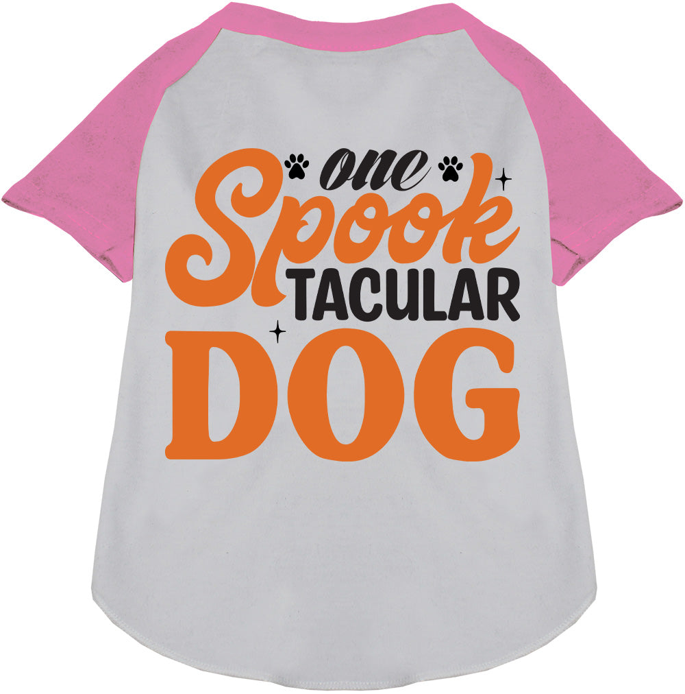 One Spooktacular Dog Pet Raglan Shirt