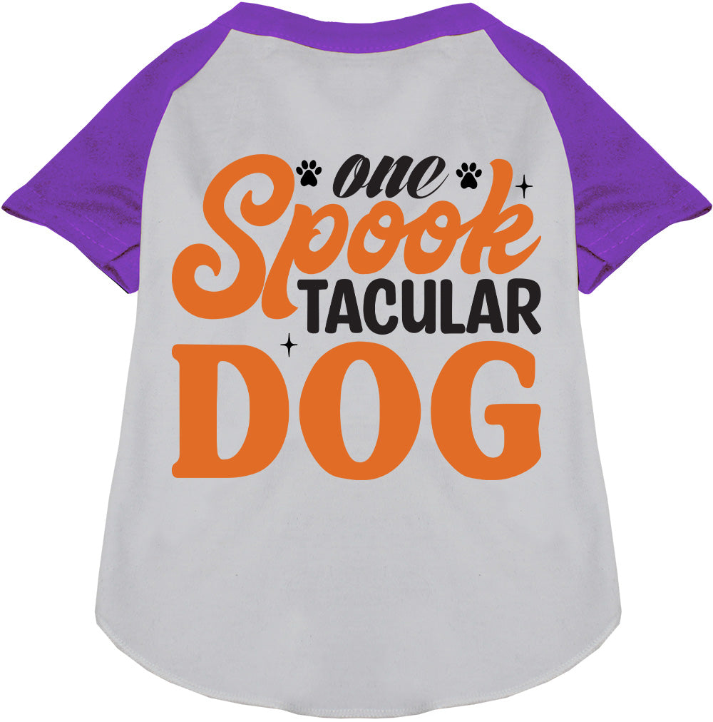 One Spooktacular Dog Pet Raglan Shirt