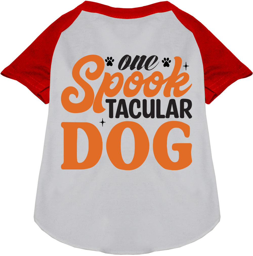 One Spooktacular Dog Pet Raglan Shirt