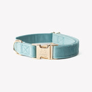 'Blue' - Velvet Dog Collar 