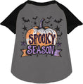 Load image into Gallery viewer, Batty Spooky Season Pet Raglan Shirt
