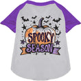 Load image into Gallery viewer, Batty Spooky Season Pet Raglan Shirt
