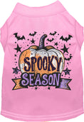 Load image into Gallery viewer, Batty Spooky Season Pet Shirt
