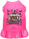 Load image into Gallery viewer, Batty Spooky Season Pet Dress
