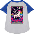 Load image into Gallery viewer, The Audacity! Pet Raglan Shirt

