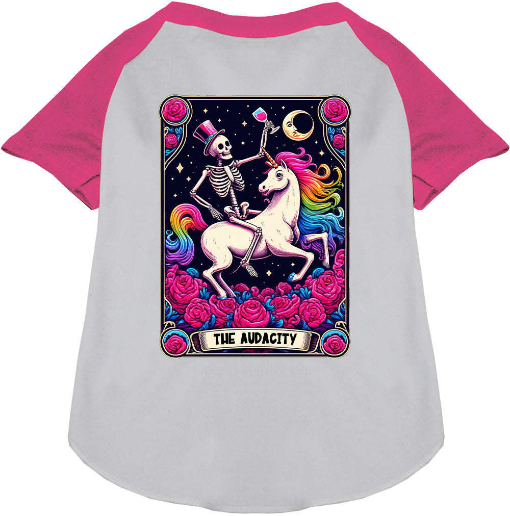 The Audacity! Pet Raglan Shirt