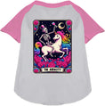 Load image into Gallery viewer, The Audacity! Pet Raglan Shirt
