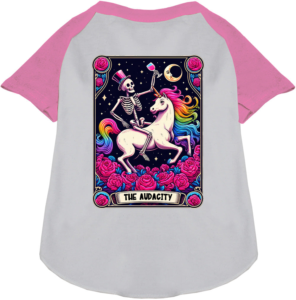 The Audacity! Pet Raglan Shirt