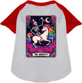Load image into Gallery viewer, The Audacity! Pet Raglan Shirt
