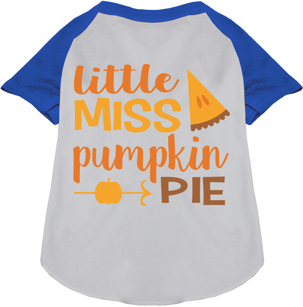 Little Miss Pumpkin Pie Pet Raglan Shirt