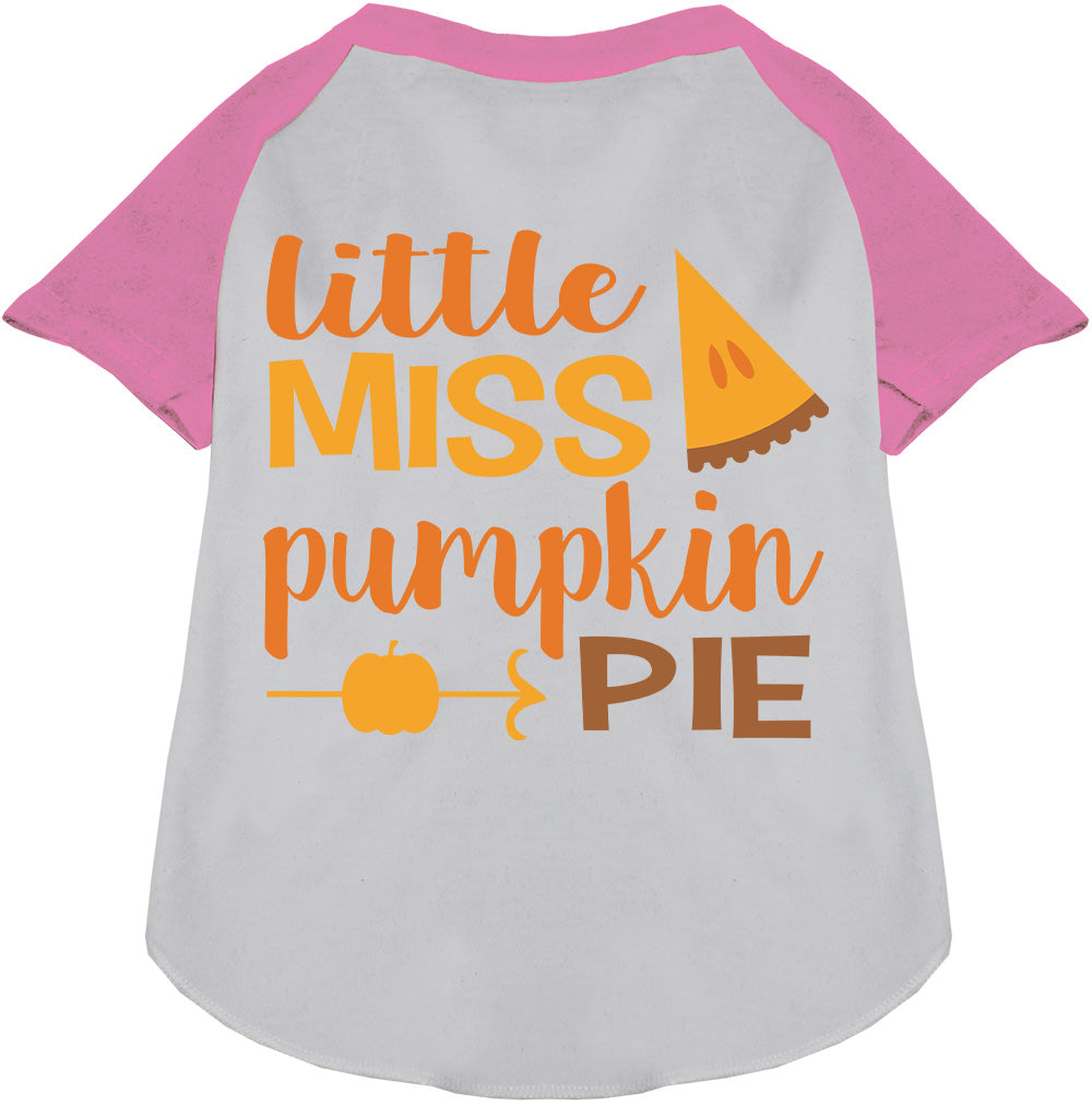 Little Miss Pumpkin Pie Pet Raglan Shirt