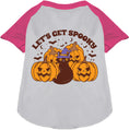 Load image into Gallery viewer, Get Spooky Pet Raglan Shirt
