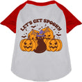 Load image into Gallery viewer, Get Spooky Pet Raglan Shirt
