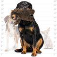 Load image into Gallery viewer, mighty® Angry Animal™Series - Bear
