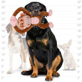 Load image into Gallery viewer, mighty® Angry Animal™ Series - Monkey
