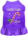 Load image into Gallery viewer, Candy Cane Crew Pet Dress
