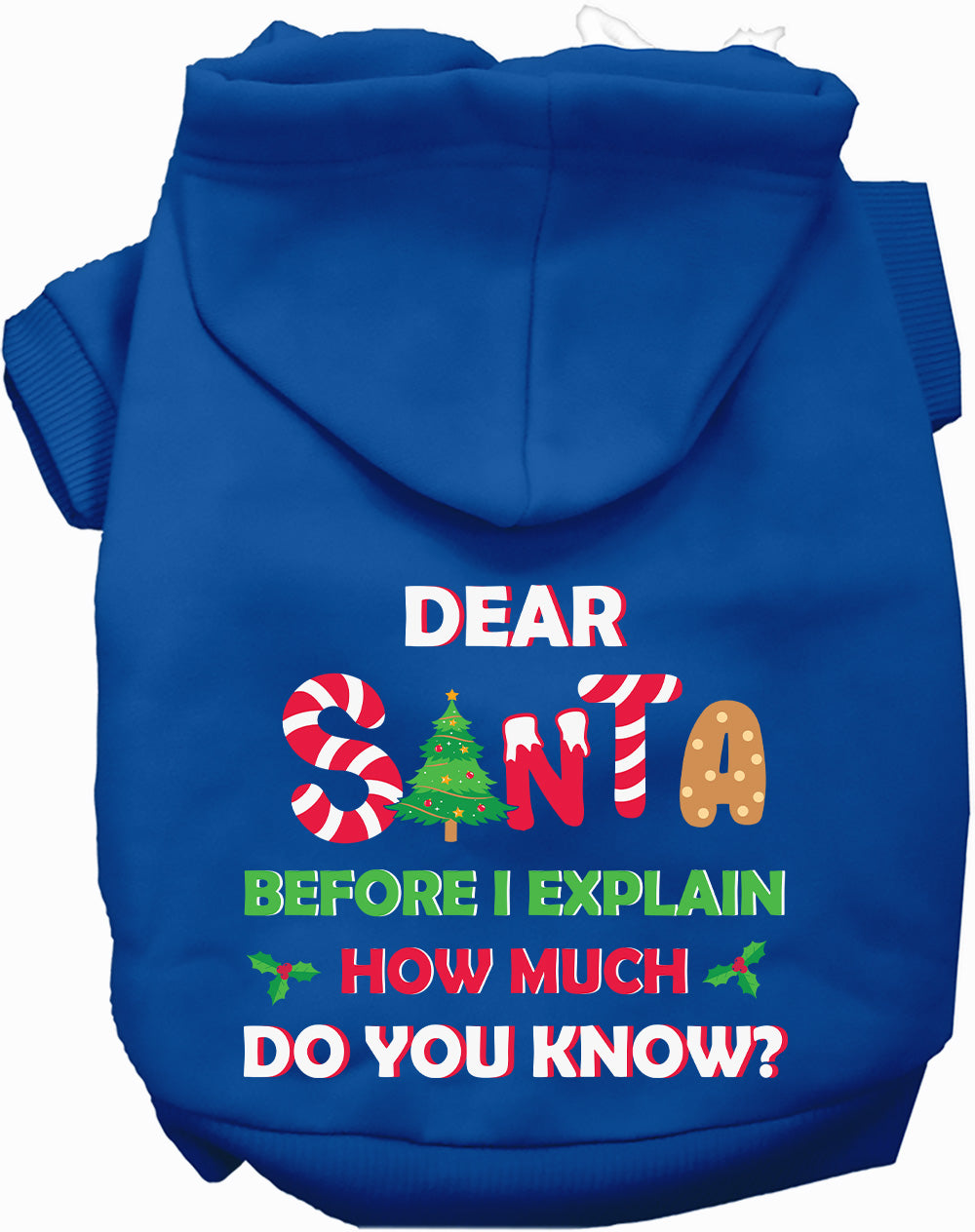 Santa, How Much Do You Know? Christmas Pet Hoodie