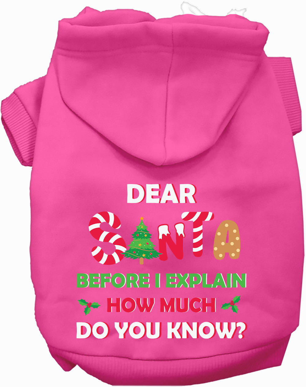 Santa, How Much Do You Know? Christmas Pet Hoodie
