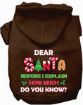 Load image into Gallery viewer, Santa, How Much Do You Know? Christmas Pet Hoodie

