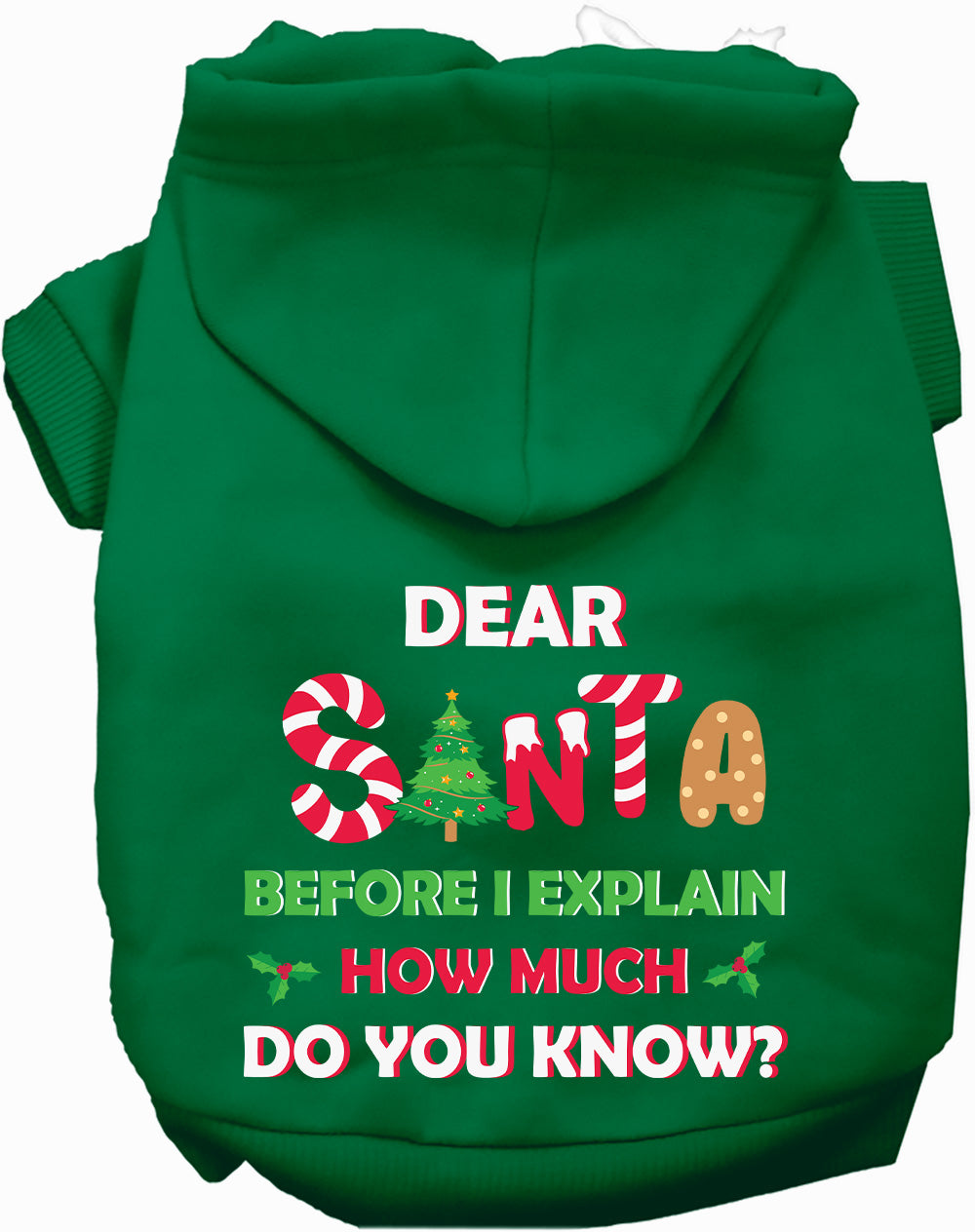 Santa, How Much Do You Know? Christmas Pet Hoodie