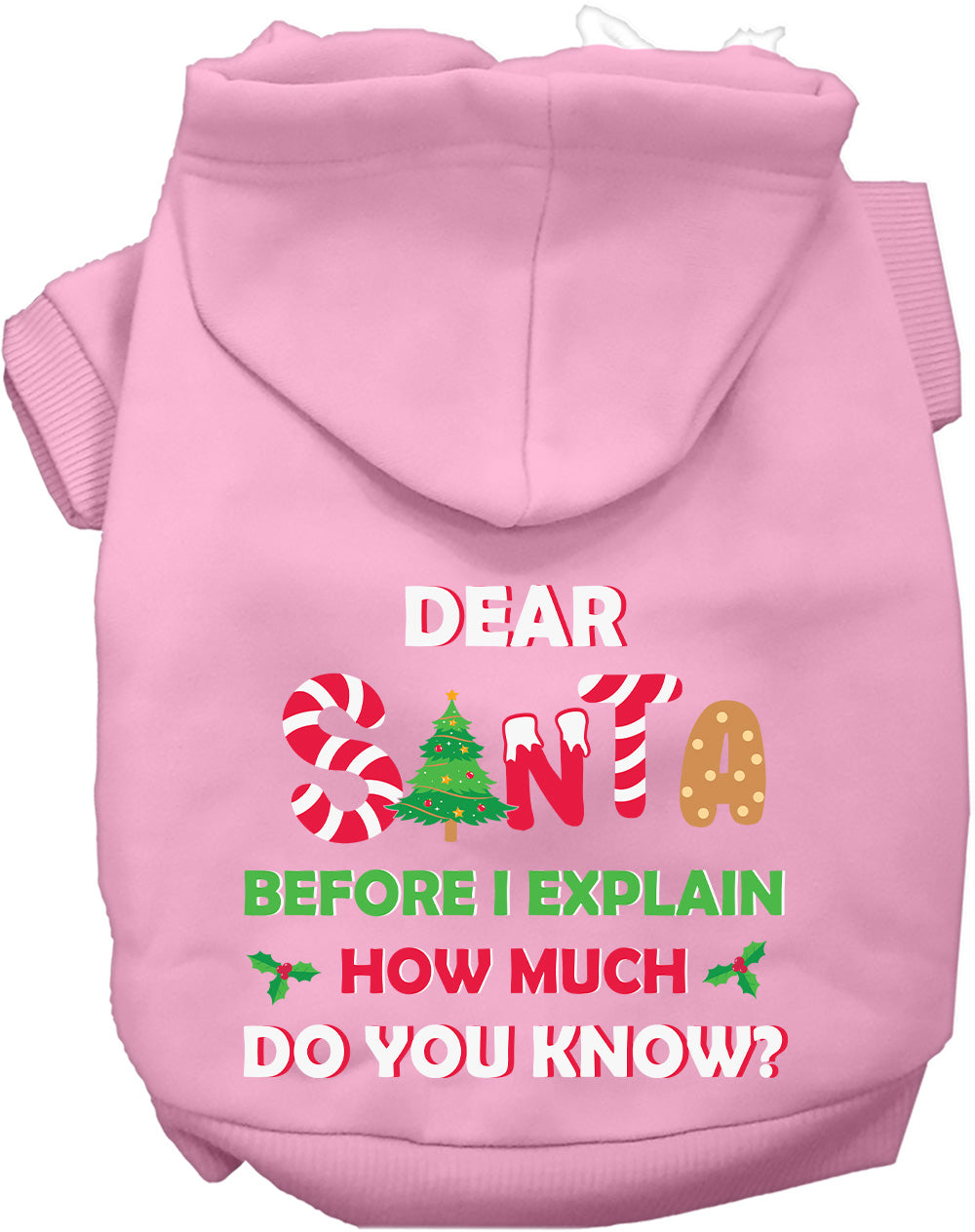 Santa, How Much Do You Know? Christmas Pet Hoodie