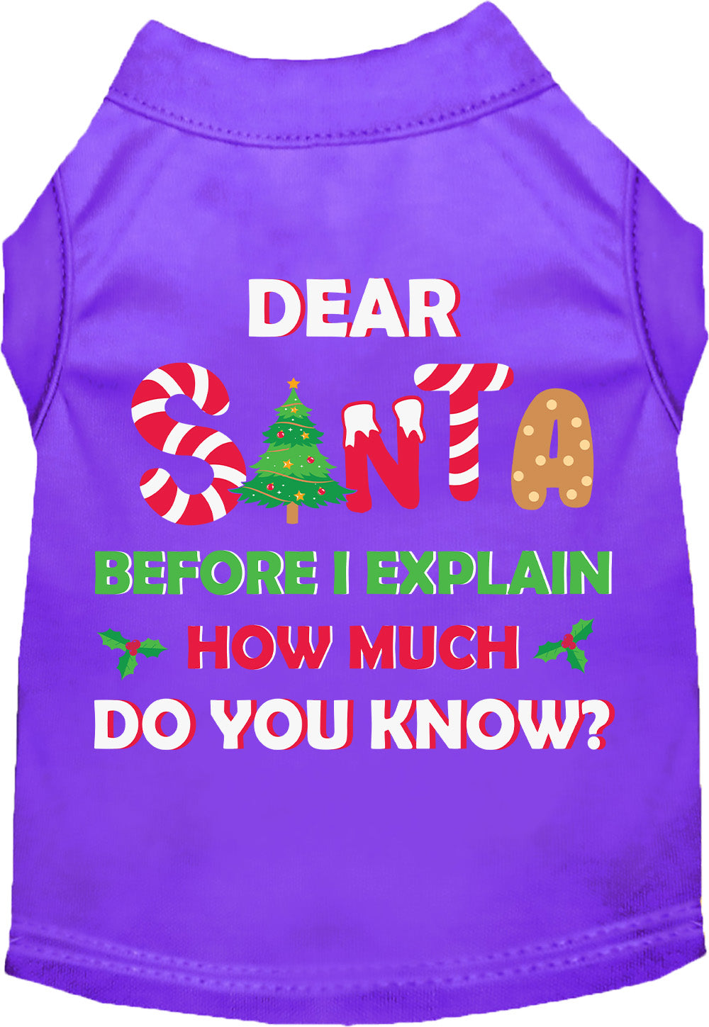 Santa, How Much? Pet Shirt