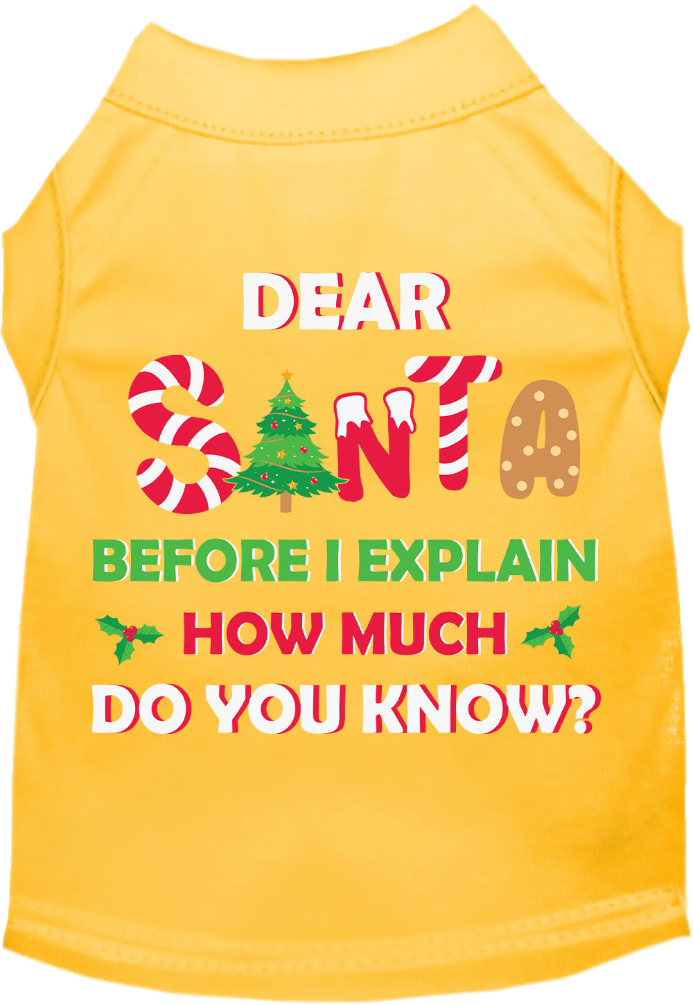 Santa, How Much? Pet Shirt