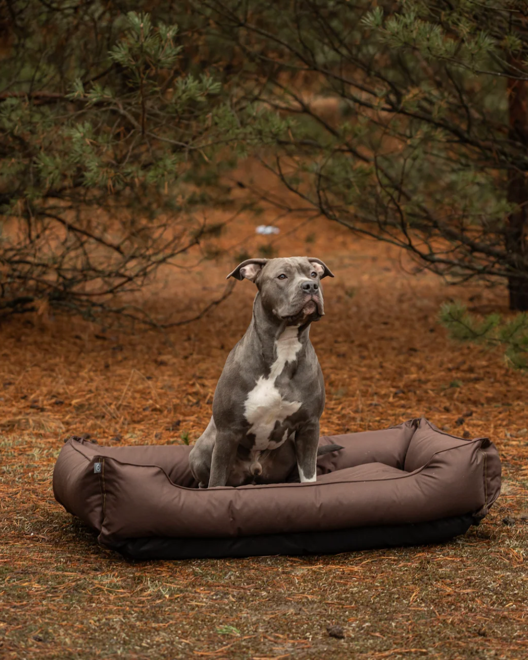 Chester & Lee | Waterproof Sleeper Dog Bed Brown - image 3