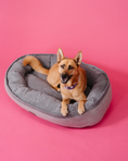 Load image into Gallery viewer, Premium Chester & Lee | Furry Bagel Dog Bed
