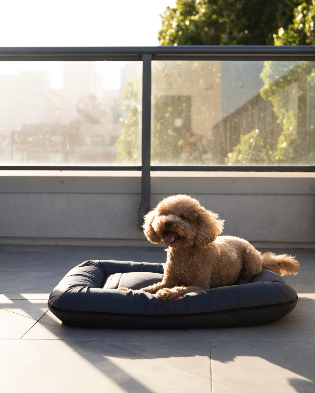Orthopedic Beds Premium Chester & Lee | Waterproof Lounger Dog Bed Gray