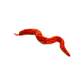 Load image into Gallery viewer, tuffy® Desert Series - Snake

