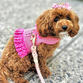Load image into Gallery viewer, Parisian Pet 'Polka Dot Harness' Dress for Dogs & Cats – Fashionable Pet Dress with Adjustable Harness, Comfortable Fit, Pink
