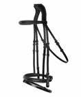 Load image into Gallery viewer, ExionPro Designer Fancy Stitched Bridle with Flash and Rubber Reins

